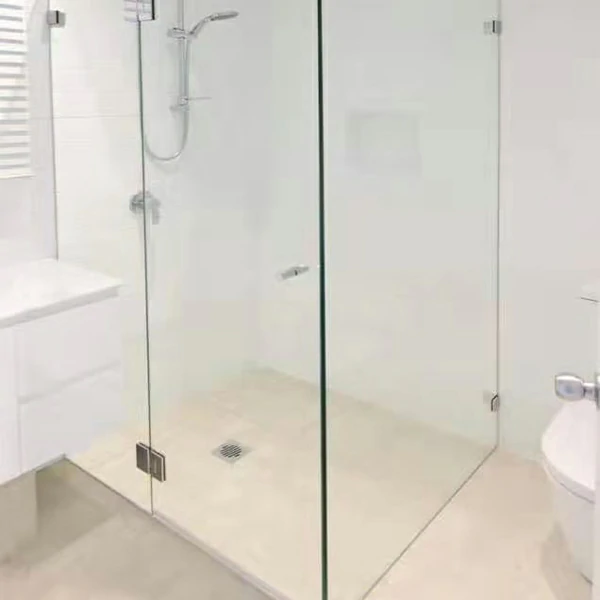 Frameless Shower Hinges Application