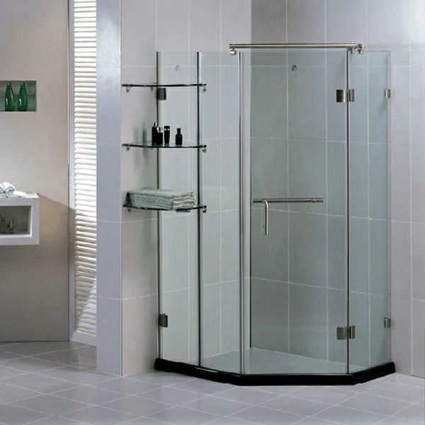 10mm Shower Door Hinges Application