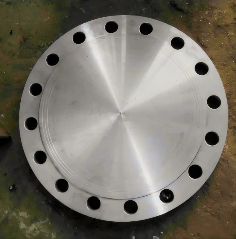 Heat-resistant steel tube sheet casting (ZG20CrMoV) for industrial boiler heat exchangers, machined for high-temperature sealing and steam pressure resistance.